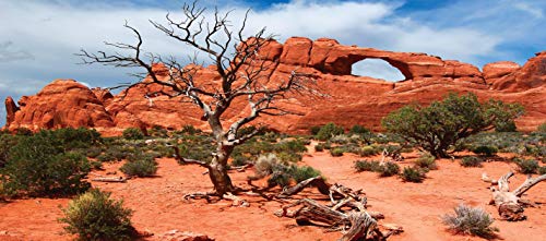 Reptile Habitat Background, Arch with Tree, 15.75" x 36"