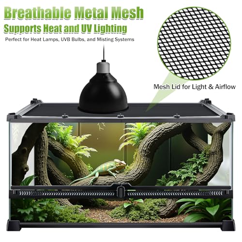 Reptile Terrarium 20"x12"x10", Full Glass Tank Enclosure for Small Reptiles, Geckos, Frogs, Lizards, Snakes, Spiders, Turtles, Rainforest Terrarium Habitat - size: 20" x 12" x 10"
