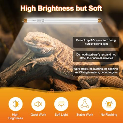 UVB Light for Reptiles Bearded Dragon, 2 Pack T5 UVB Reptile Light UVB Bulb 10.0 8W UVA UVB Reptile Light Bulb Terrarium Light Lamp Tube for Turtle Chameleon Leopard Gecko Snake Tank, 12 Inch - size: T5-12 Inch(2 Pack)