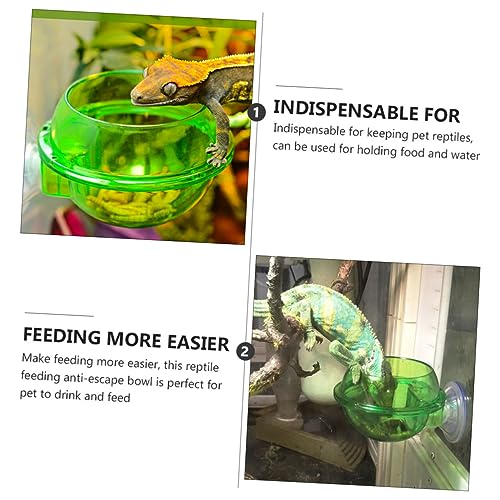 balacoo 4pcs Reptile Feeder Bowl with Cup Dragon Beard Basin for Lizard Gecko Escape Dish for Easy Feeding Design for