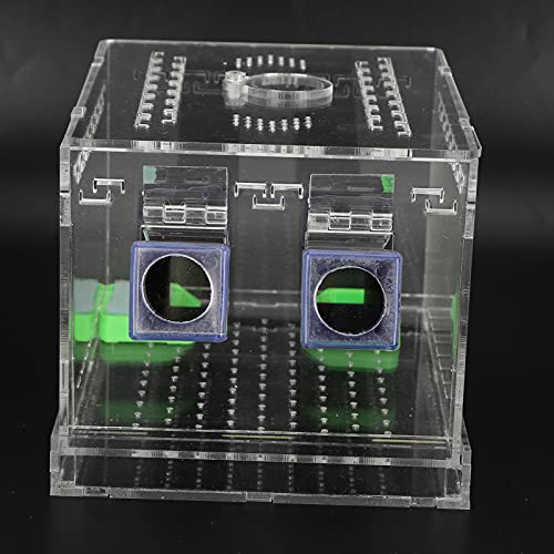 Acrylic Cricket Feed Box with Observation Window for Reptile Terrarium Insect Care Kit, Non-Toxic Material for Easy Cleaning, Tank Box for - size: L