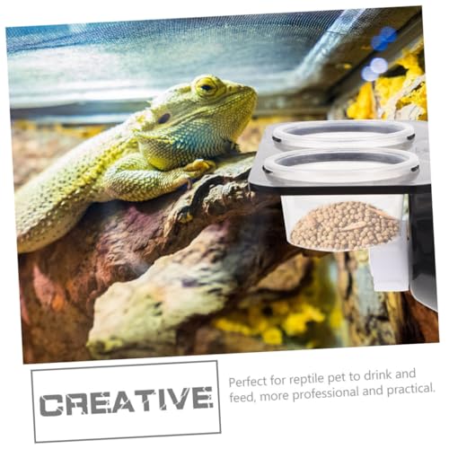 1Set Reptile Feeding Ledge with Suction Cup of Detachable Food Basins Easy to Clean Maintain for Bearded Dragons Geckos and Other Terrarium Pets