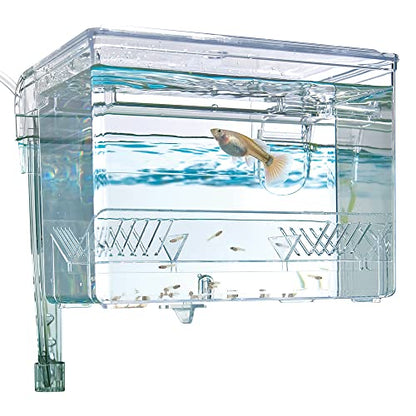 Fluval Multi-Chamber Holding and Breeding Box, Medium (Pack of 12) - size: Medium (Pack of 12)