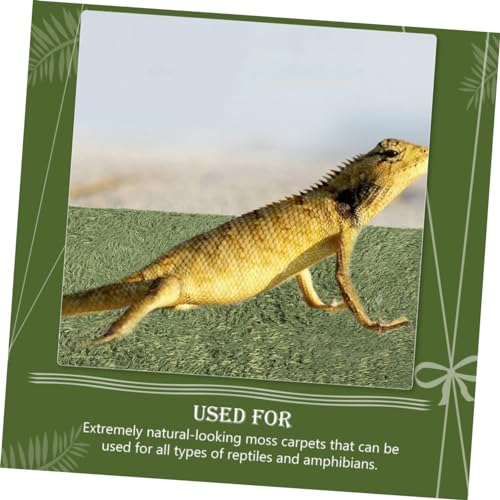 ORFOFE Artificial Lawn Mat for Reptile Box Snake Habitat Accessories Moss Terrarium Decor Gecko Tank Pad Lizard Tank Accessories Double-Sided Water Absorption