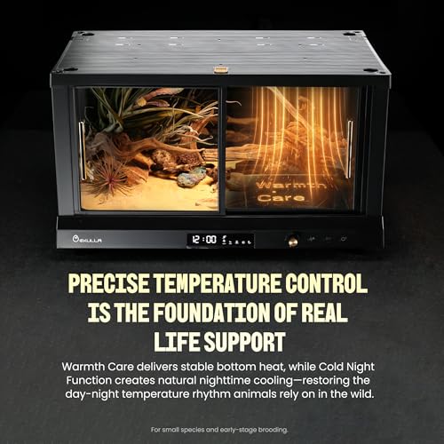All-in-ONE Smart Reptile Tank, Reptile Enclosure，Terrarium Tank，Screen Ventilation Habitat，Amphibians，Suitable for Keeping Lizards, Geckos and Snakes (Black, CP1) - color: BLACK, size: CP1