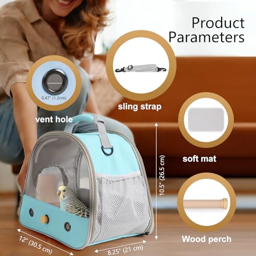 Bird Carrier, Portable Small Bird Parrot Parakeet Carrier with Standing Perch and Stainless Steel Tray, Side Access Window Collapsible (Green, Clear Windows) - color: Green