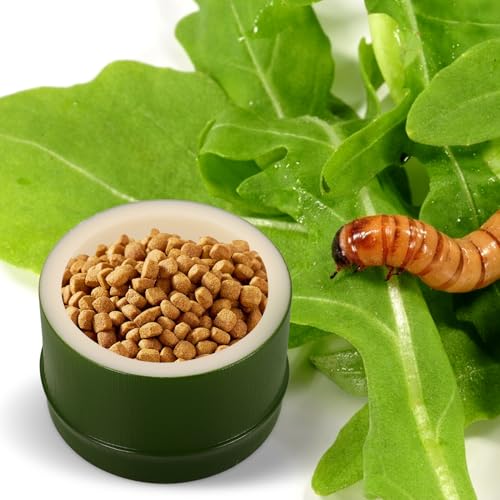 Cabilock Reptile Feeding Bowl and Water Dish Ceramic Lizard Food Feeder with Anti-Escape Design for Gecko Bearded Dragon Terrarium Use