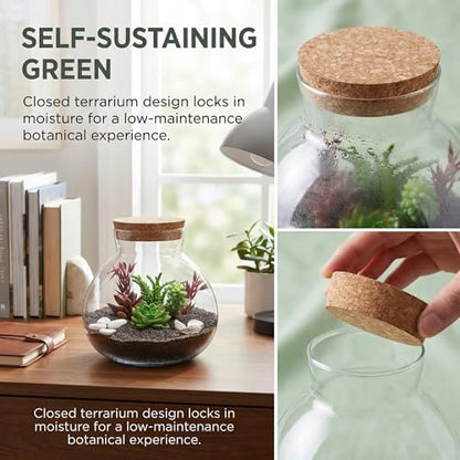 NUOBESTY Glass Terrarium Jar with Cork Lid, 6x6.3 Inch Closed Terrarium for Succulent Moss and Fern, DIY Miniature Desktop Garden for Home & Office Decor (No Plants)