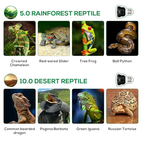 High Intensity UVB Reptile Light Bulb 6W 10.0 Full Spectrum UVA UVB for Reptiles simulating Sunlight Promote Synthesis of Vitamin D3 in Reptile Pets for Turtle,Lizard,Bearded Dragon,Spider - size: 6W10.0