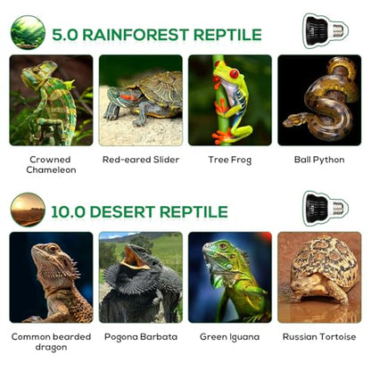 High Intensity UVB Reptile Light Bulb 6W 10.0 Full Spectrum UVA UVB for Reptiles simulating Sunlight Promote Synthesis of Vitamin D3 in Reptile Pets for Turtle,Lizard,Bearded Dragon,Spider - size: 6W10.0