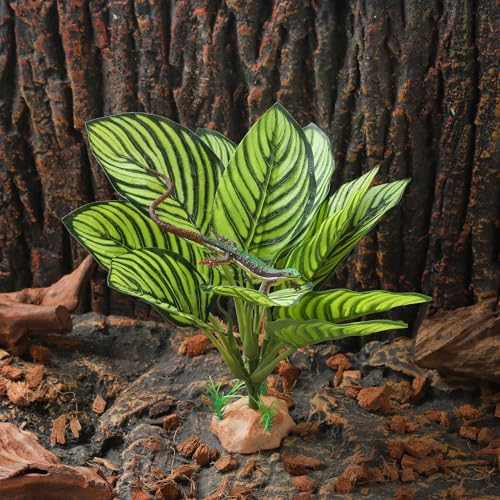 IBWell Reptile Terrarium Plants - Tortoise Habitat Accessories, Artificial Spider Plant for Gecko, Ball Python - Calathea Makoyana A
