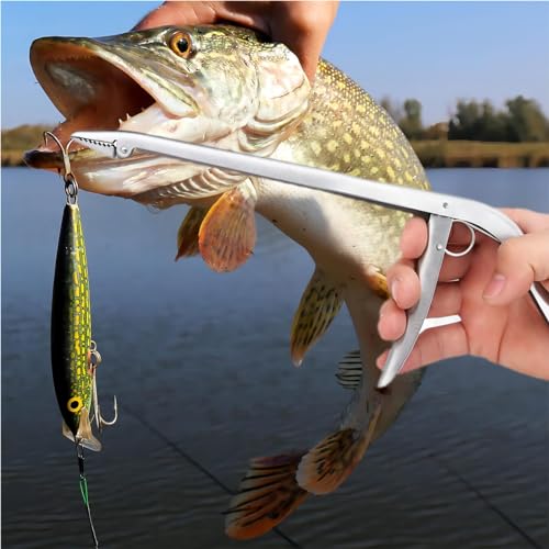 Fish Hook Remover Tool Stainless Steel Fish Dehooker Freshwater Saltwater Fishing Pliers 11-1/2 inch - style: Hook Remover