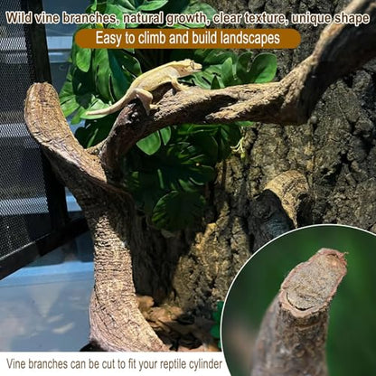 BNOSDM Reptile Forest Climbing Branch Decor Crested Gecko Climb Wood Natural Branches Tree for Snake Frog Chameleon Spider Bearded Dragon Terrarium Habitat Tank Accessories,3PCS