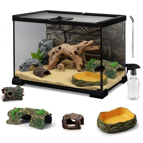12"x8"x6" Mini Reptile Glass Terrarium Set (7 Pcs) Full View Hermit Crab Tank, Habitat Enclosure with Feeding Slot & Lock for Lizard, Bearded Dragon, Snake, Amphibians & Small Pets