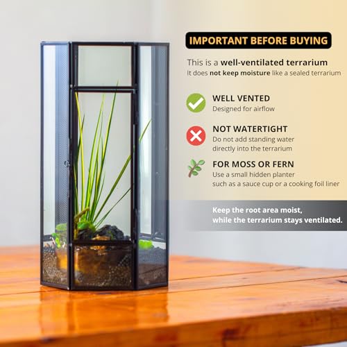 NCYP Small Glass Enclosure Terrarium with Mesh and Door for Spiders - Hexagon Shape Small Mantis Vented Glass Terrarium 4.9'' x 4.3'' x 9.4'', Tabletop Decor, Black (Plants Not Include) - size: 4.9'' x 4.3'' x 9.4''