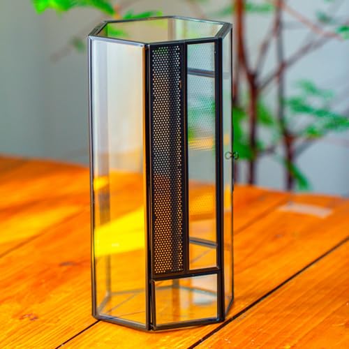 NCYP Small Glass Enclosure Terrarium with Mesh and Door for Spiders - Hexagon Shape Small Mantis Vented Glass Terrarium 4.9'' x 4.3'' x 9.4'', Tabletop Decor, Black (Plants Not Include) - size: 4.9'' x 4.3'' x 9.4''