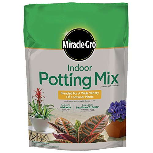 Miracle-Gro Indoor Potting Mix, Blended for a Variety of Houseplants, Feeds for up to 6 Months, 6 qt. - size: 6 qt.