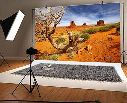 Leyiyi 5x3ft Monument Valley Photography Background American National Park Navajo Tribal Park Cowboy Western Desert Plant Rock Dry Trunk Warship Landmark Film Polyester Backdrop Terrarium Background - color: Desert4, size: 5x3ft-P