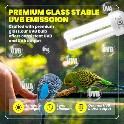 GlowUp 23W UVB Bulb for Bird, UVB 2.4 Compact Fluorescent Light Bulb E26 Birdcage Compact UVB 2.4 Lamp for Captive Birds and Reptiles - size: 23W UVB 2.4 Light Bulb