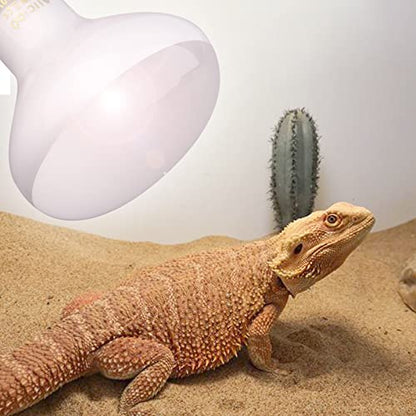 Aiicioo Reptile Basking Light Bulb - 75W Reptile Heat Lamp 2 Pack UVA Daylight Amphibians Basking Bulb for Bearded Dragon Turtle Hermit Crab Gecko Lizard Daylight - color: ['White'], size: ['75W']