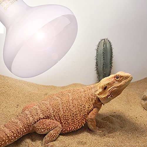 Aiicioo Reptile Basking Light Bulb - 100W Reptile Heat Lamp 2 Pack UVA Daylight Amphibians Basking Bulb for Bearded Dragon Turtle Hermit Crab Gecko Lizard Daylight - color: ['White'], size: ['100W']