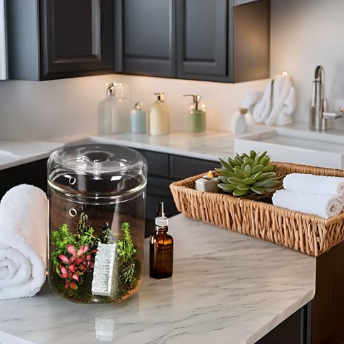Small Glass Terrarium Jar with Lid – 4.7 x 7 Inch Closed Plant Terrarium for Succulents, Moss, Venus Fly Trap & Self-Sustaining Ecosystems – Ideal Indoor Decor for Home & Tabletop