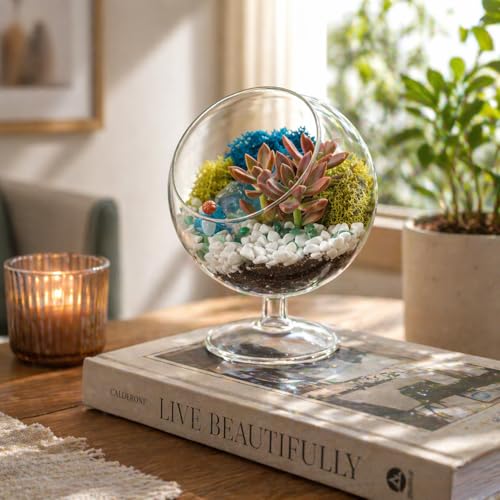 Creations by Nathalie DIY 6" Chalice Terrarium Kit Build Your Own Glass Terrarium for Adults & Teens, DIY Terrarium Kit with Live Moss, Crystals, Soil (Plant Not Included) - color: 6" Chalice