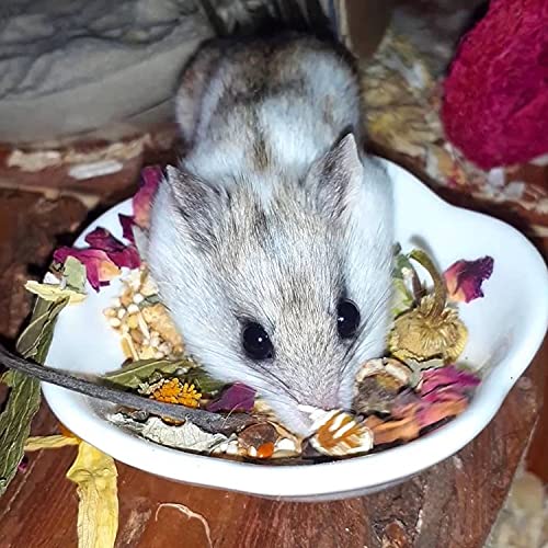 Flower Fusion Treat (1/2 lb) - Healthy Natural Dried Flower Herbivore Treat - Chinchillas, Guinea Pigs, Rabbits, Prairie Dogs, Degus, Hamsters, Rats, Squirrels, Sugar Gliders & Other Small Pets - size: 8 oz.