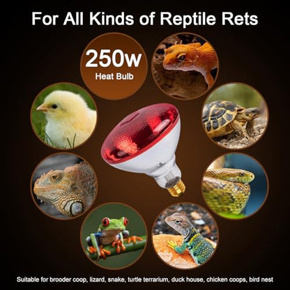 Infrared Heat Lamp for Chickens, 250 Watts Red Heat Lamp Bulb, Heat Light Bulb for Brooder Coop, Food Service, Chicks, Pet, Reptile, 2 Pack - size: 2 Count (Pack of 1)
