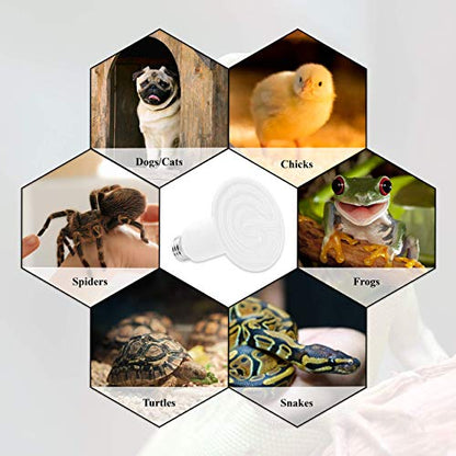 Mandala Crafts Heat Lamp for Reptiles - Ceramic Heat Emitter Infrared Light Bulb with No Light for Chicken Coop Turtle Bearded Dragon Dog Pet Brooder 100W Pack of 2 White - color: White