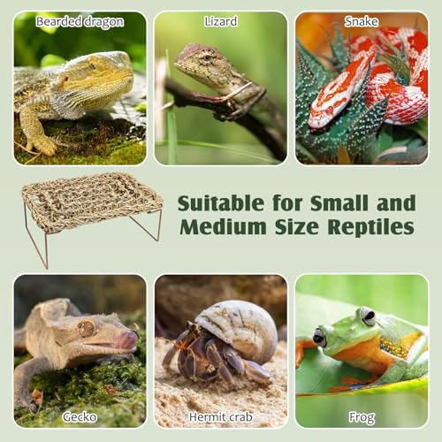 Fhiny Bearded Dragon Lounger with Wooden Ladder, Reptile Bed with Metal Legs Seagrass Hammock for Reptile, Tank Accessories Decor for Lizards Leopard Gecko Snake Hermit Crab Frog