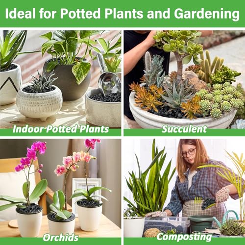 Legigo 12QT All Natural Horticultural Charcoal- Activated Hardwood Plant Charcoal for Soil Amendment, Conditioning Bonsai Soil, Succulent, Terrarium Supplies, Indoor Plant Potting Soil - color: 12 QT