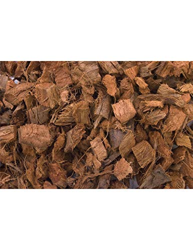 T-Rex Reptile Terrarium Substrate - Coconut Bark 4qt Bag (8qt) - size: 10 qt