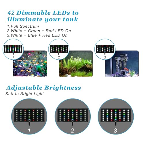 DOMICA Clip On Aquarium Light with Timer for 3 to 8 Gal Fish Tank (Dimmable Full Spectrum LED) USB Moving Lamp for Open Terrarium (Adapter NOT Included), Black, DM-USBLIGHT+T02