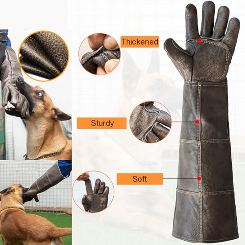 ThreeH Animal Handling Gloves Falconry Cat Scratch Proof Reinforced Leather Glove - size: Large