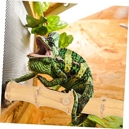 Abaodam Bearded Dragon Climbing Branch Suction Cup Reptile Decor for Lizard Enrichment Durable Natural Wood Structure for Bearded Dragons Geckos More