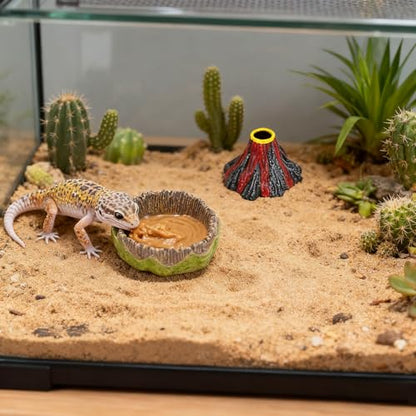 Small Reptile Feeding Dish 2Pack Gecko Food Water Dispenser Worm Bowl with Resin Volcano Decor for Terrarium Leopard Crested Gecko Juvenile Bearded Dragon Lizards Cricket Dubia Feeder