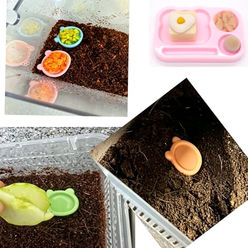 15 Pack Reptile Feeding Dish Set with 12 Bowls & 3 Feeding Trays, Crested Gecko Food Dishes, Small Pet Feeding Cups for Jumping Spider, Tarantula, Hermit Crab, Beetle, Isopods, Lizard Tank Accessories