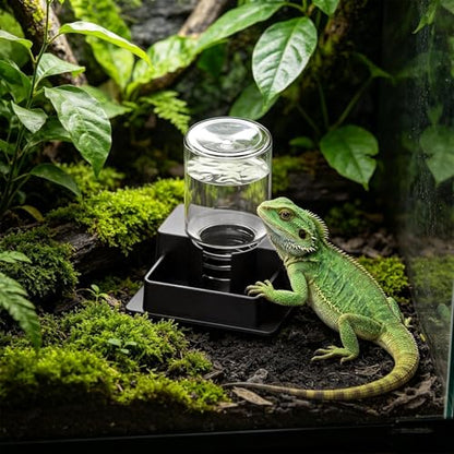 Reptile Water Feeder - Automatic Leak-Proof Dispenser, Constant Level Hydration Station | Waterer for Gecko Snake Lizard Bearded Dragon Home Indoor Tank Habitat - color: mm