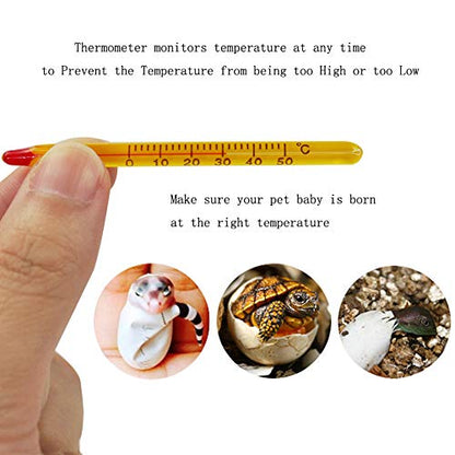 OMEM Reptile Breeding Box, Reptile Egg Incubators, Hatchery Box, for Hatching Gecko, Lizards, Lions Mane, Reptiles (Thermometer, Transparent Box) - size: Thermometer