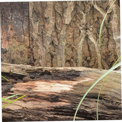BESPORTBLE Cork Terrarium Background for Reptile Tanks Natural Bark Backdrop Decor Climbing Mat Safe Reusable Aesthetic Habitat for Chameleons Lizards and Other Reptiles