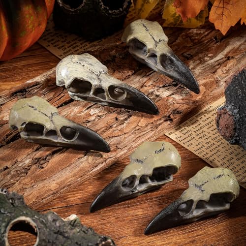 3Pcs Halloween Raven Skull Decor, 2.6 Inches Gothic Fake Crow Skull Pendant for Necklace, Wall Decorations - style: 3Pcs