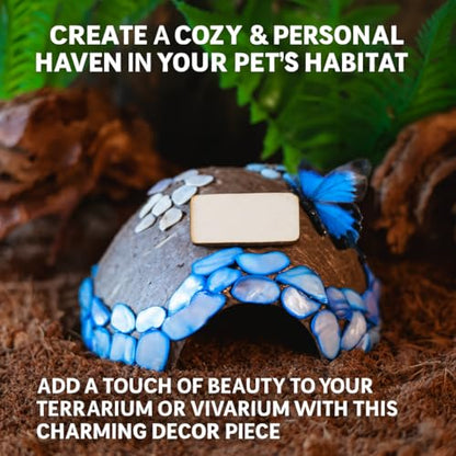 Reptile Hideouts, Handmade Handmade Reptile Home, Hide Cave for Crested Gecko, Leopard Gecko, Lizard, Snake, Crabs Hide Cave, Personalized Terrarium & Vivarium Décor(Conch) - style: Conch