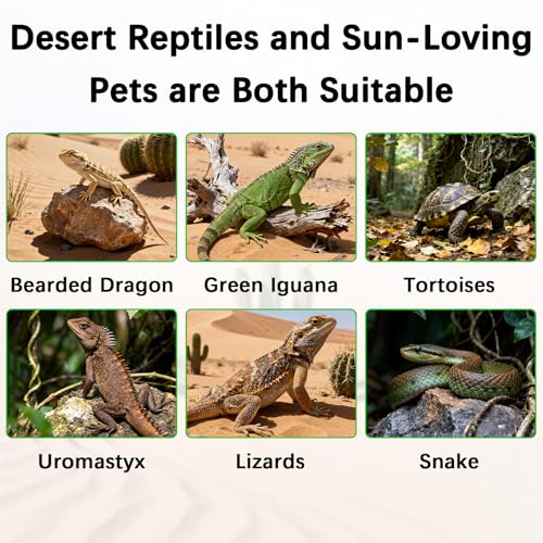 T5 10.0 UVB Reptile Light Fixture Combo Kit, 8W High Output UVA UVB Light with Upgraded Wider Alloy Reflector for Bearded Dragons Lizards Tortoises and Desert or Tropical Reptiles 12.4Inch - size: 12.4Inch