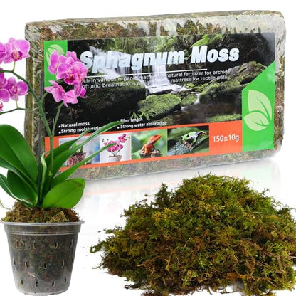 Doter Dried Forest Moss for Plants (10 qt / 2 pcs), Sphagnum Potting Moss for Various Plants, Including Orchids, Carnivorous Plants, Succulents, Garden Flowers, and Reptiles