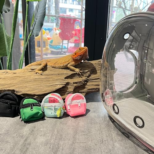 Desert Iguana Backpack Carrier,Bearded Dragon Portable Backpack Carrier with Small Backpack Harness Leash Set,Space Capsule Clear Bubble Window Travel Backpack for Lizard Travel,Guinea Pig,Rabbit - color: Black