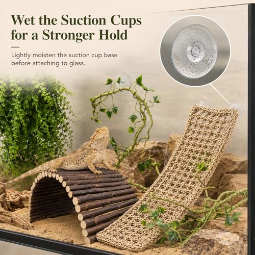 RUNANIA Bearded Dragon Tank Accessories, 10 PCS Reptile Hammock Plants Bridge Jungle Climber Vines for Snakes Bearded Dragon Chameleon Gecko Lizard - color: 10 Pcs