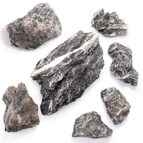 Eorbow 12lb Seiryu Stone, Aquarium Rocks for Terrariums, Paludarium, Vivariums, Reptile, Amphibian Enclosures, Fish Tank Decor for Aquarium Landscaping Models