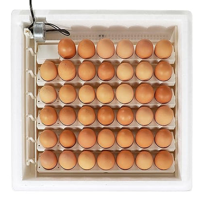 Farm Innovators 41 Egg Digital Circulated Air Incubator w/Auto Turning & Humidity Control - Automatic Incubating Machine for Hatching Chicken Eggs and Poultry Farming