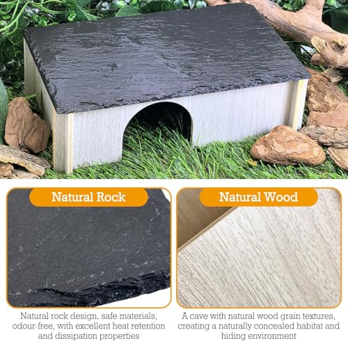 PINVNBY Large Bearded Dragon Basking Platform, Wooden Snake Hide, Ball Pythons Hide with Slate Rock, Leopard Gecko Tank Accessories for Geckos, Crested Gecko Chameleon Turtles (L: 11.8x7.87 inches) - size: L: 11.8x7.87 inches